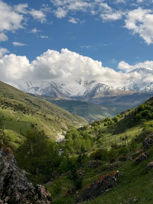 мезмай гуамское ущелье. ущелье 2023. река курджипс гуамское ущелье. река баксан кбр. река уллу муруджу.