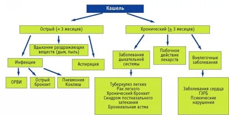 Какие бывают кашли у взрослых