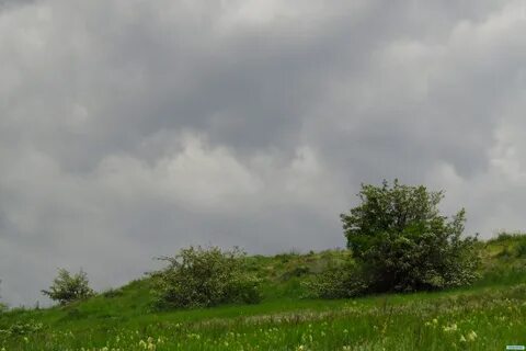 Ветры июля