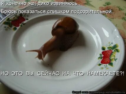 Вам не дано понять