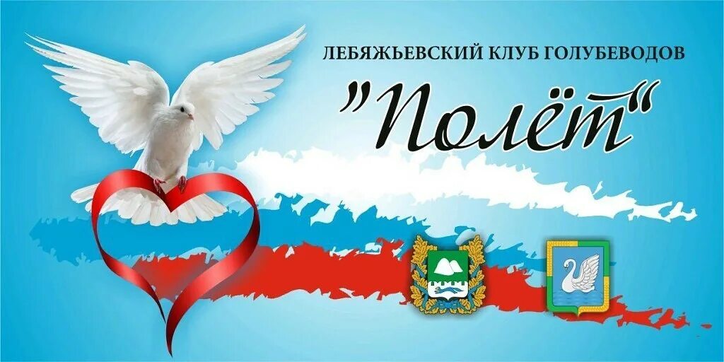 Клуб голубе. Голуби гульбадамы двухчубые. Голуби сочи. Подольский клуб голубеводов. Оренбургские голубятники сорочинский клуб феникс.