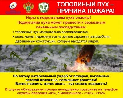 Опасность поджогов