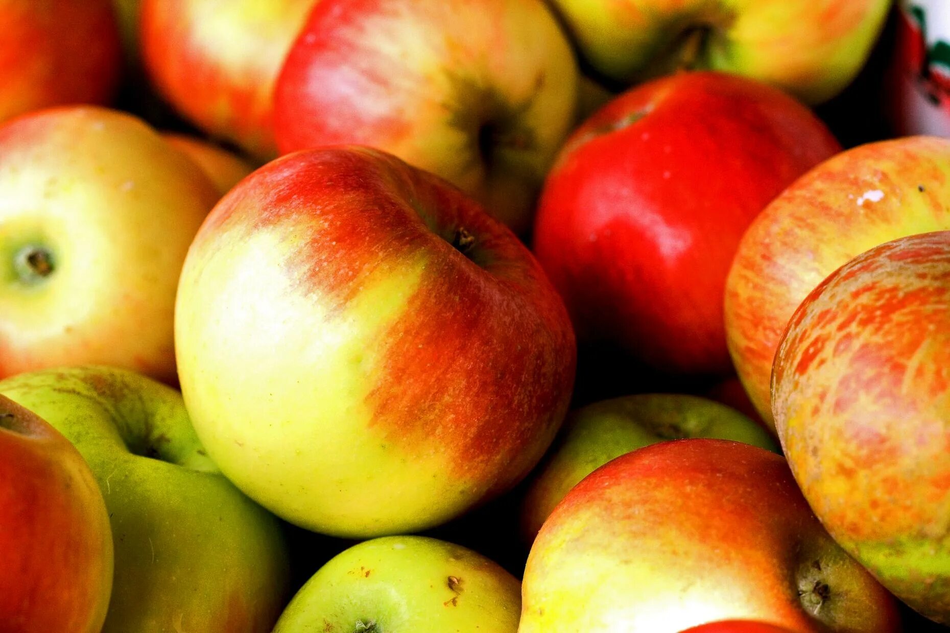 Many apples