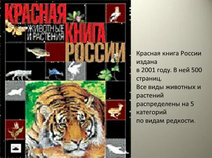 Красная зона книга