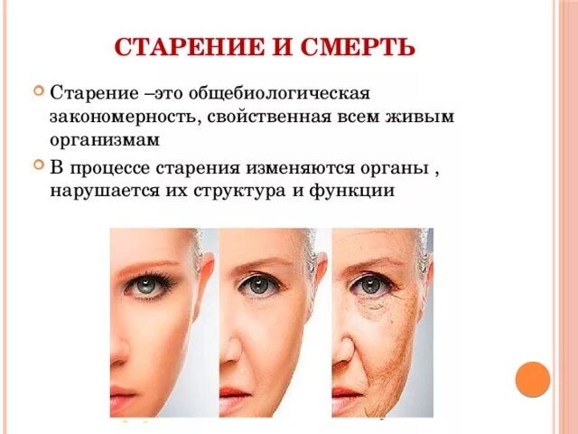 Старение это в биологии. Признаки старения клетки. Старение клетки. Старение живых организмов. Причины старения клеток.