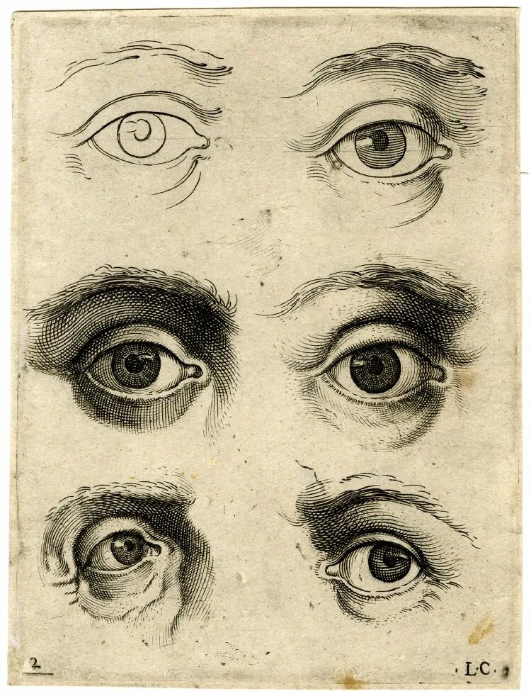 Глаза французов. Академическое рисование глаз. Рисование глаз в разных ракурсах. Глаз гравюра. Построение глаза.