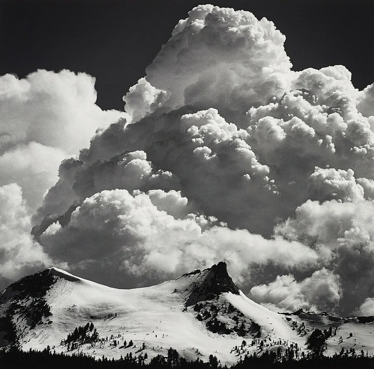 Adams cloud