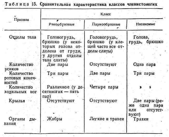 Какие черты отличают паукообразных от членистоногих. Таблица ракообразные паукообразные насекомые. сравнительная характеристика членистоногих таблица 7 класс биология. сравнительная характеристика классов типа членистоногие таблица. биология 7 класс таблица ракообразные паукообразные насекомые.
