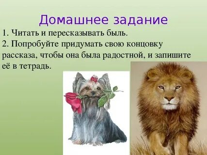 План льва