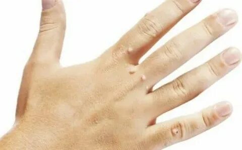 Олар асық суреттерін жақсы көреді