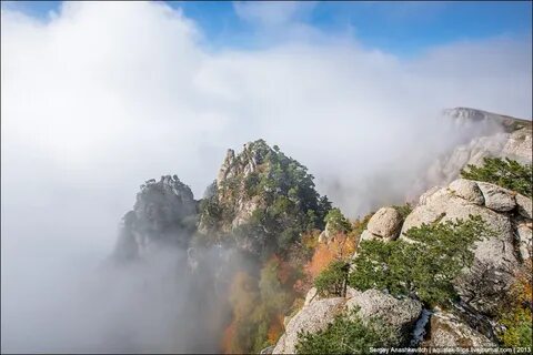 Горе мое