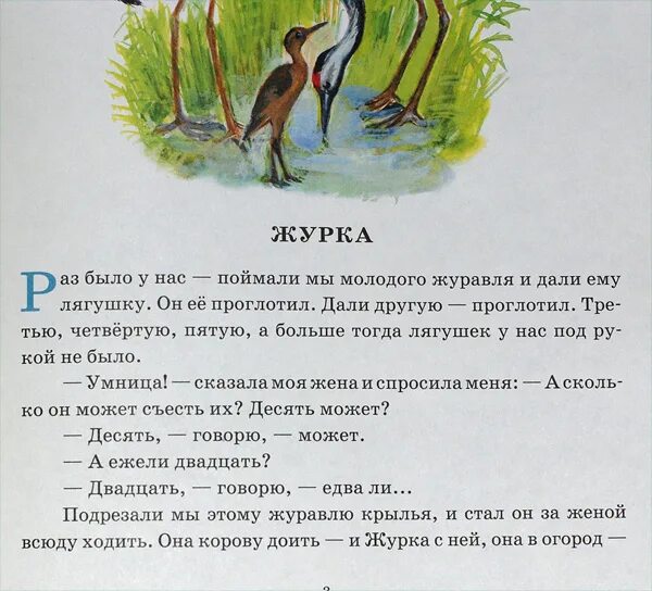 Рассказ Михаила Пришвина журка. Иллюстрации к рассказу Пришвина журка. Сказки сказки Пришвина журка.