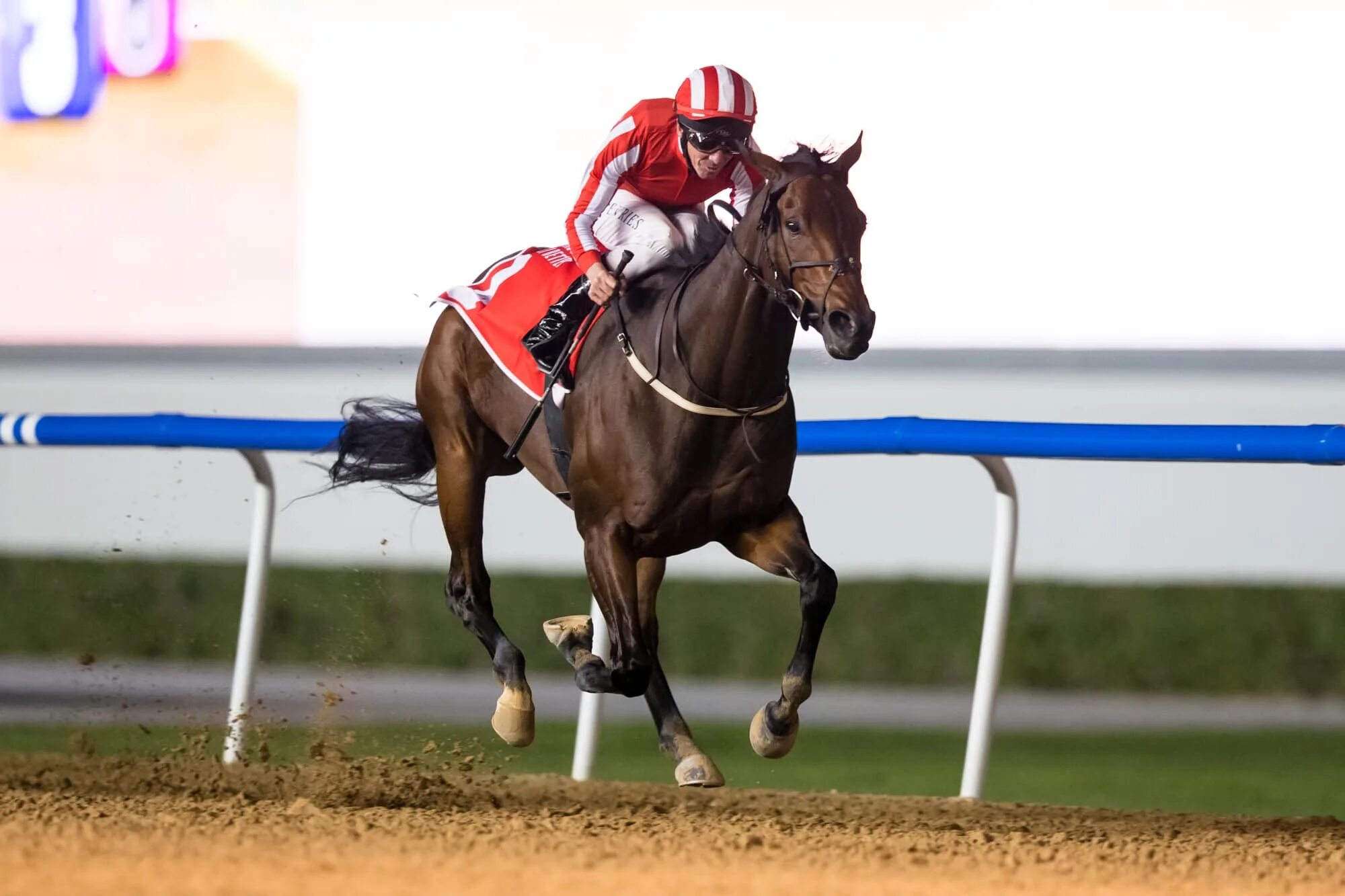 Выступление дурова в дубае 2025. Скачки в дубае. скачки dubai world cup. стадион для скачек дубай.
