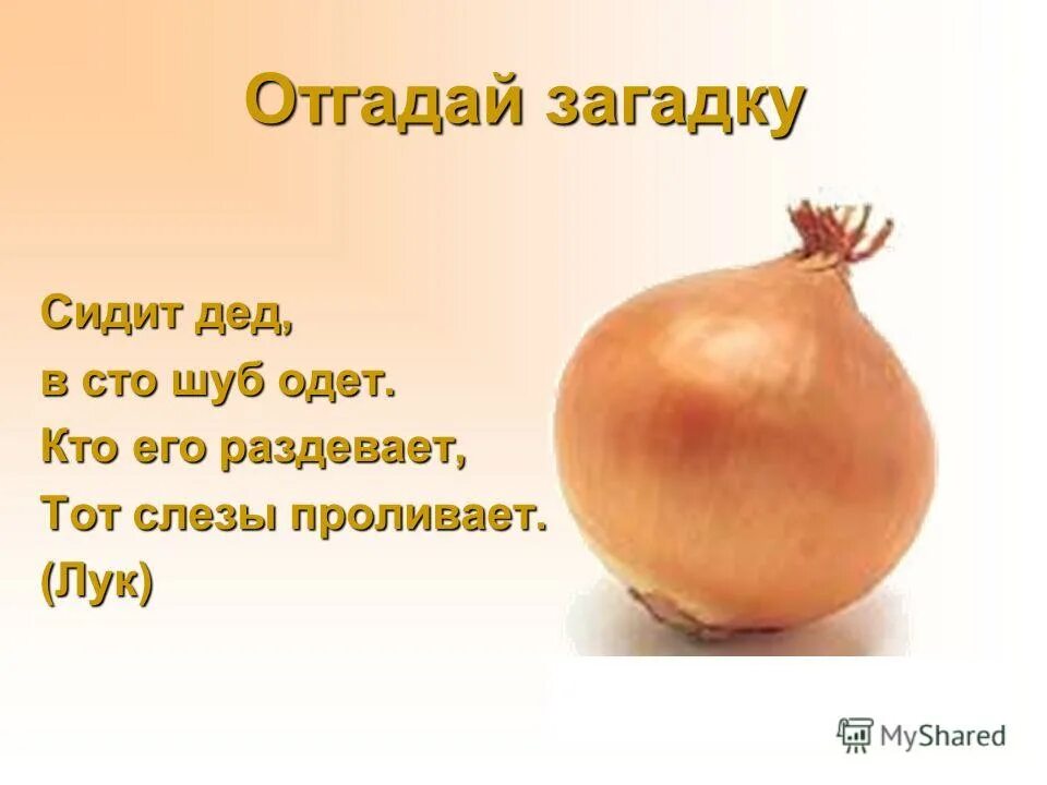 Загадка золотое донце. Загадка про золото. Загадка про золото для детей. Сложная загадка про золото.