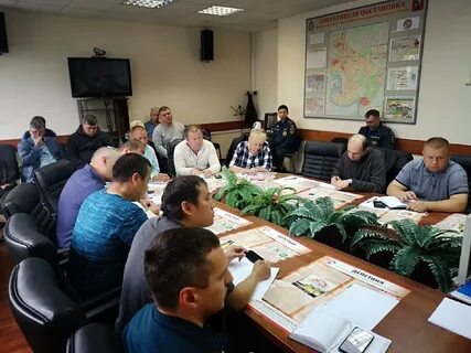 Добровольный представитель