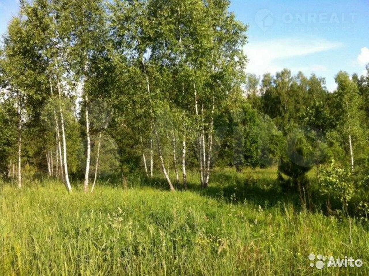 Участковые бор. Река Ватома Нижегородская область. Городищи Бор. Ватома Борский район Нижегородская область. Речка Ватома Борский район.