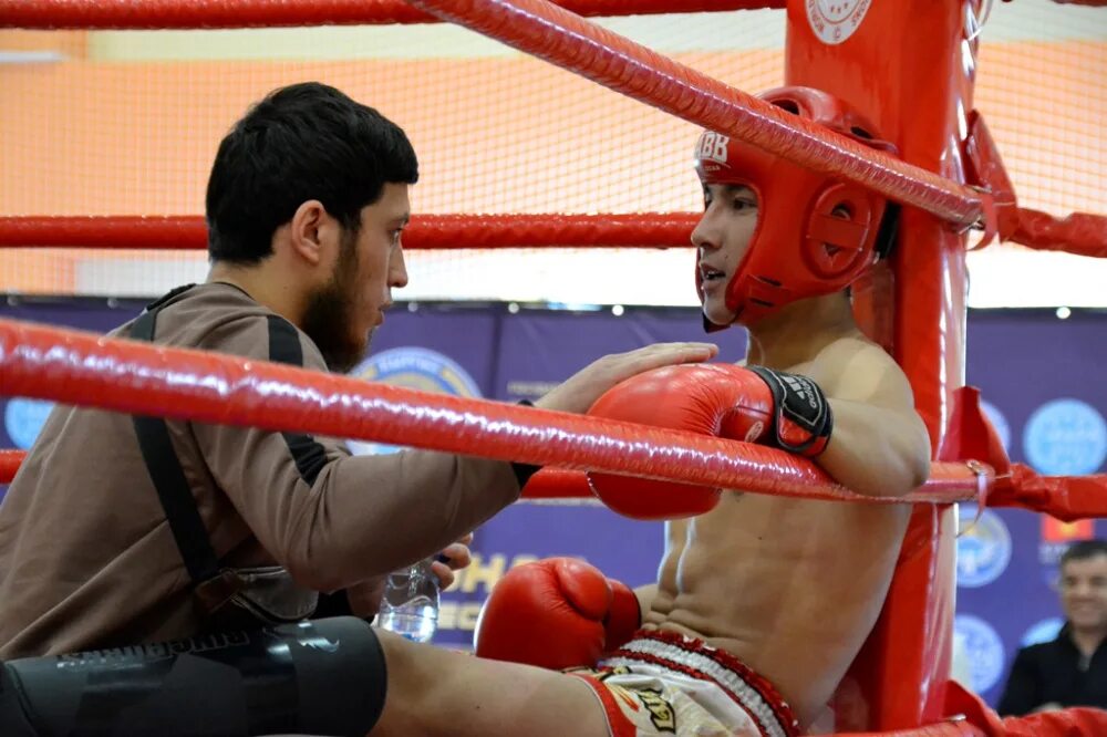 Кикбоксинг лоу кик. Кикбоксер лоу кик. Американский кикбоксинг. Кикбоксинг профессиональные бои. Вако кикбоксинг.