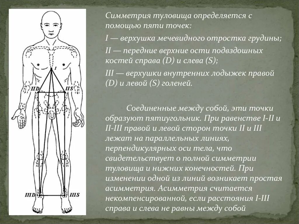 Внутренняя поверхность тела. Внутренняя поверхность тела