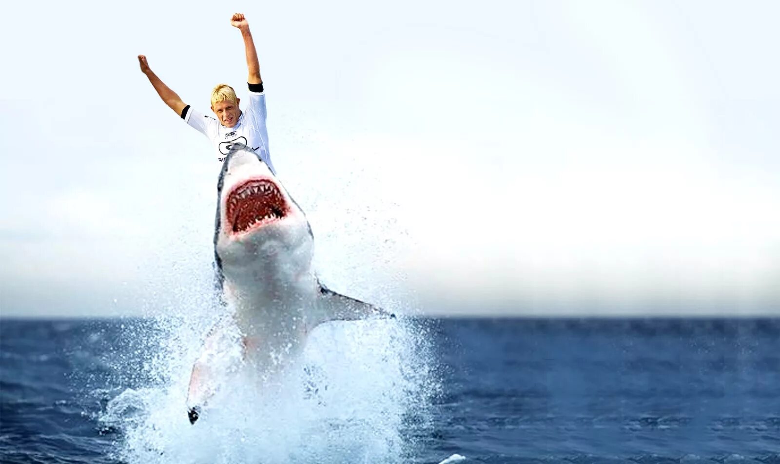 Самая опасная акула в мире. Как стать акулой. Серо голубая акула мако. Как стать акулой. Акула мако.