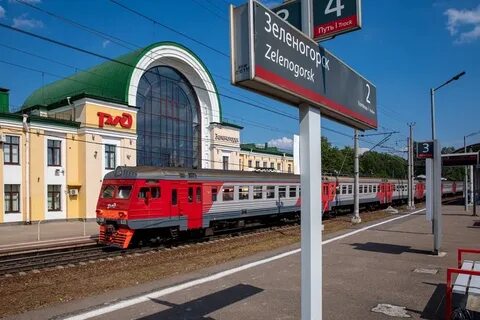Ласточка санкт петербург зеленогорск