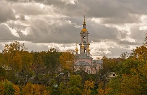 Золотой кимры