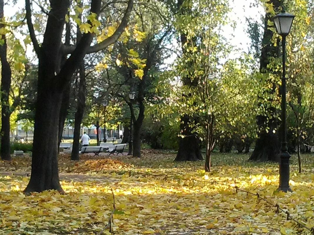 Сан гали в питере сад. Сад Сан-Галли Санкт-Петербург. Сквер финансистов СПБ. Аллея Вязов на Лиговском проспекте. Сад Сан-Галли скульптура.