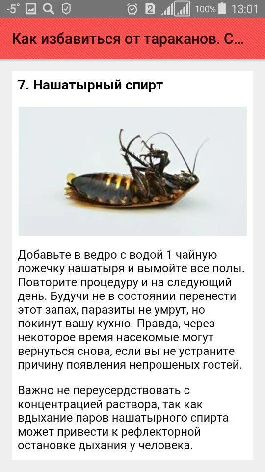 Как быстро и эффективно избавиться от тараканов. Средство от выведения тараканов. избавление от тараканов в квартире. способы избавления от тараканов. как избавиться от тараканов в квартире.