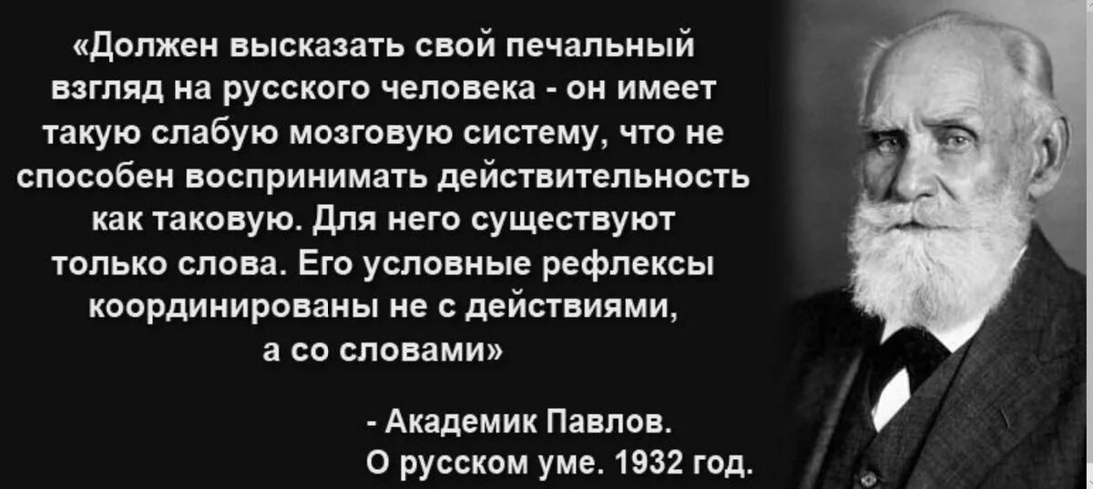 Академик Павлов о русских. Академик Павлов о русском мозге. Академик павлов россия