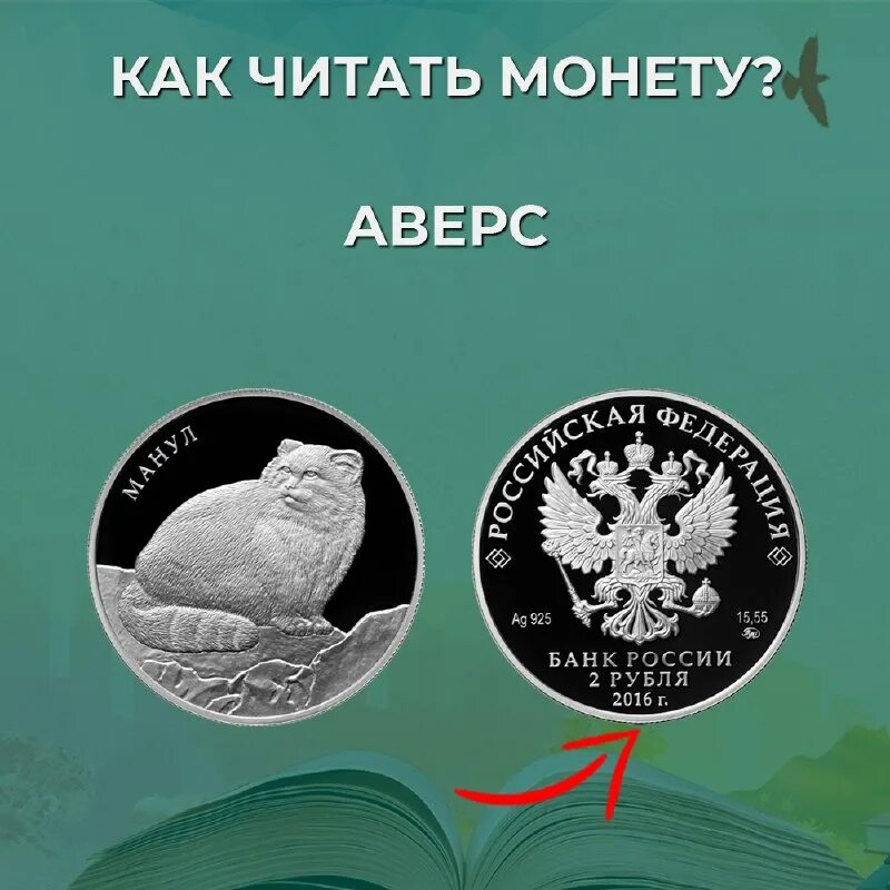 монетка читать. фортуна на серебряных монетах. монетка читать. сказка про монетку. картинка монета книжного моря.