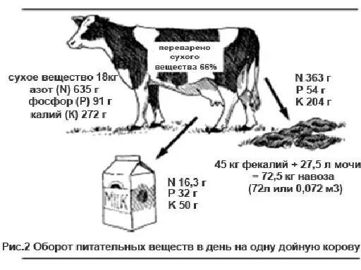 Сколько давать корове сена. Плотность навоза крупного рогатого скота. Сколько навоза от одной коровы в сутки. Сколько 1 теленок производит навоза. Сколько корова дает навоза в сутки.