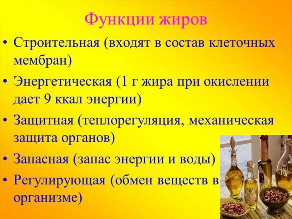 6 основная функция жиров. 6 основная функция жиров