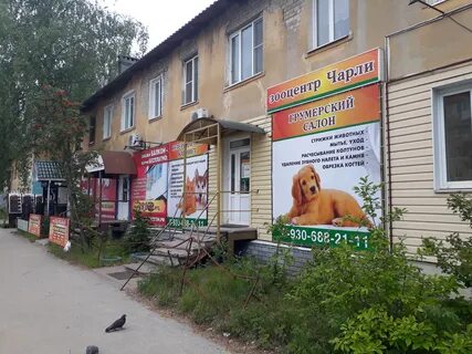 Ветклиника дзержинск