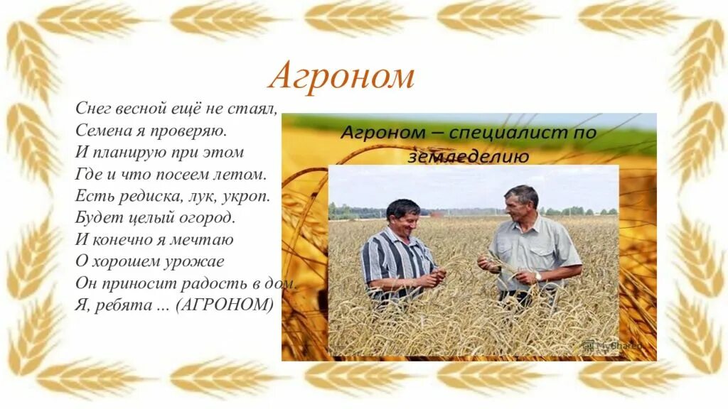 Какую профессию выполняет агроном. Сельскохозяйственные профессии. стихотворение про агронома. сельскохозяйственные профессии агроном. сельскохозяйственные профессии для детей.