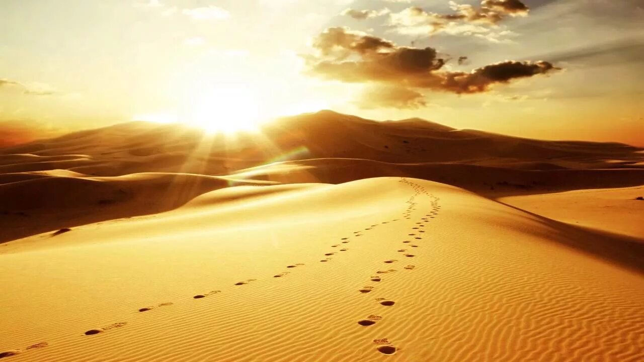 Спрятаться от жары. Солнце в пустыне. Жара в пустыне. Палящее солнце в пустыне. Человек в пустыне жара.