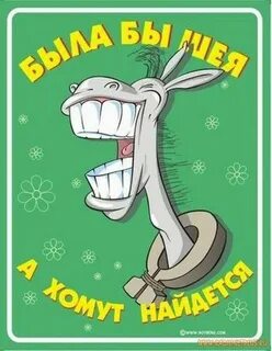 Была бы шея