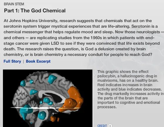 Бог и мозг книга. God Brain. Your Brain your God. Золотой мозг Бога.