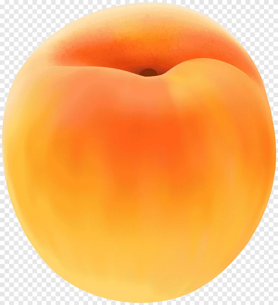 Peach apricot