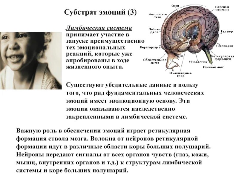 Эмоции нервная система. Лимбическая система эмоции. лимбическая система ,структуры мозга в эмоциях. гормоны лимбической системы. лимбическая карта эмоций.