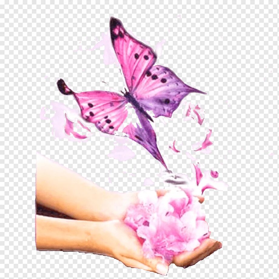Бабочка над головой. На руку бабочка. Бабочка на ладони. Фон для маникюр бабочки. Бабочка на руке рисунок.