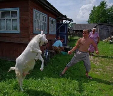 Деревенская реклама