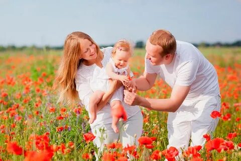 Цветы с семью цветами