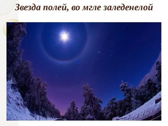 Стих н м рубцова звезда полей. Звезда полей рубцов. Звезда полей во мгле заледенелой. Николай михайлович рубцов звезда полей. Рубцова "звезда полей".