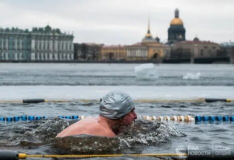 Моржи спб