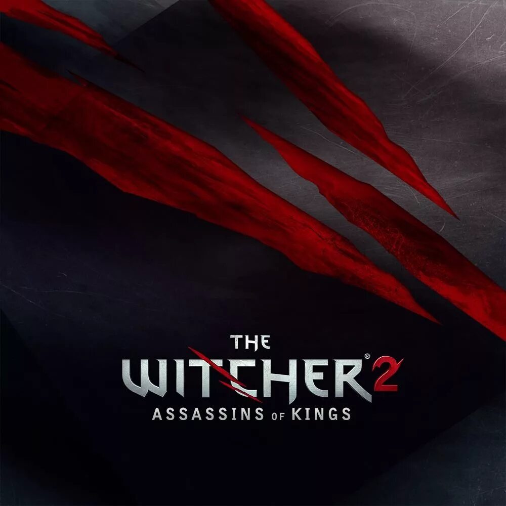 Ведьмак саундтрек. The witcher 2: assassins of kings. the witcher 2 assassins of kings обложка. the witcher 2 assassins of kings лого. ведьмак ost.