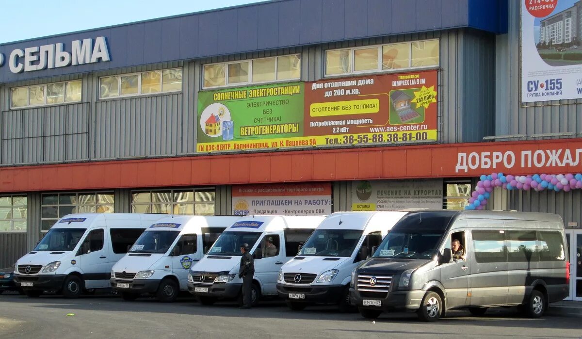 План рынка сельма калининград. Сельма калининград режим работы. Сельма калининград режим работы. Рынок сельма калининград. Сельма калининград режим работы.