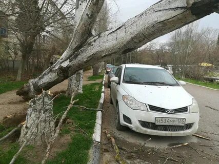 Новости севастополя ураган