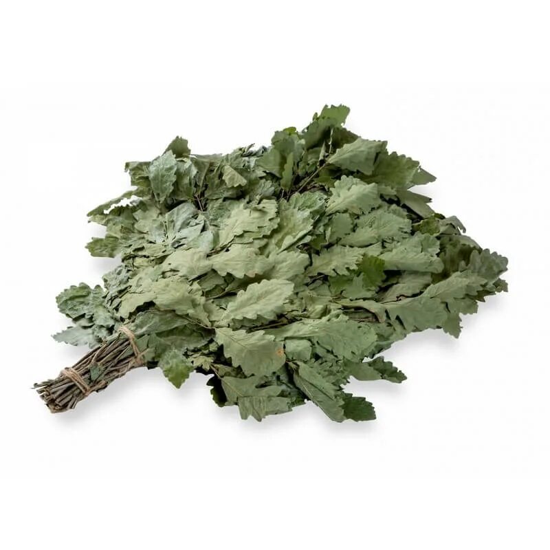 Веник для бани дубовый. Заготовка веников для бани. Веник (дубовый) б035. Парилка с веником. Веник канадский клен.