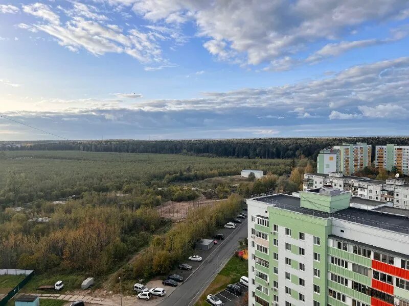 Городской округ власиха московской области. Красный бульвар клестовка. Городской округ власиха. Подслушано власиха московская. Власиха люди.