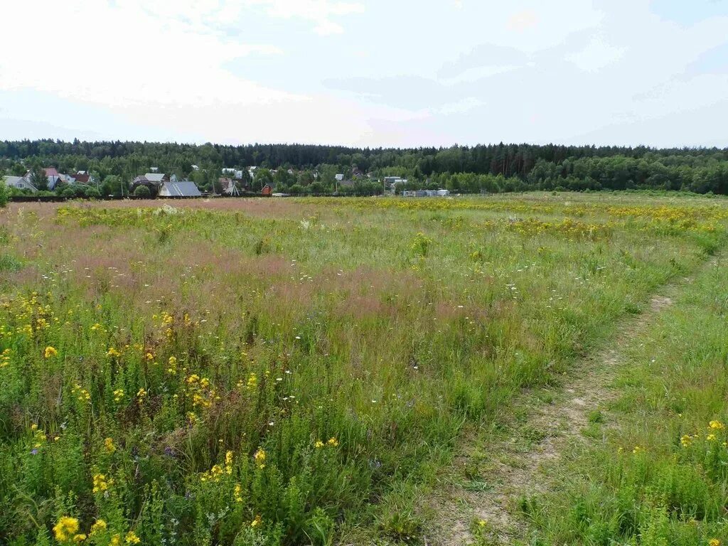 земля продаж соток. снт текстильщик волоколамского района московской обл. земельный участок. земля продаж соток. деревня тишнево боровский район.