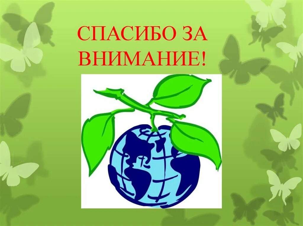 Презентация Живая Планета. Живая Планета логотип. Социальный проект мы за чистый город презентация. Проект «Живая Планета» в ДОУ.